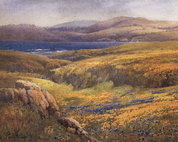 unknow artist Point Lobos in the Springtime Sweden oil painting art